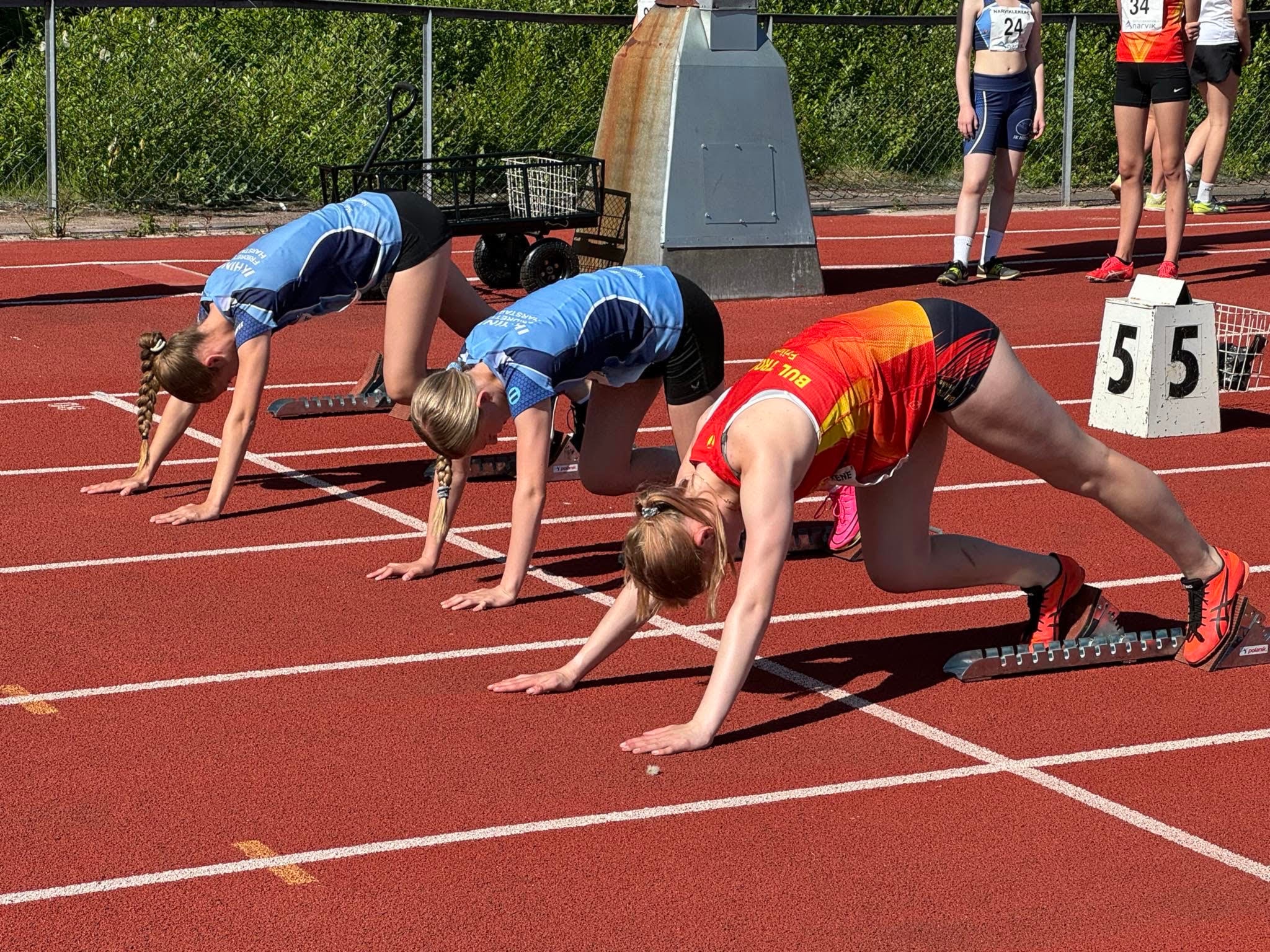 Narviklekene og Tyrvinglekene 2024